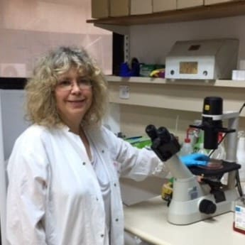 Rina Rosin-Arbesfeld, PhD