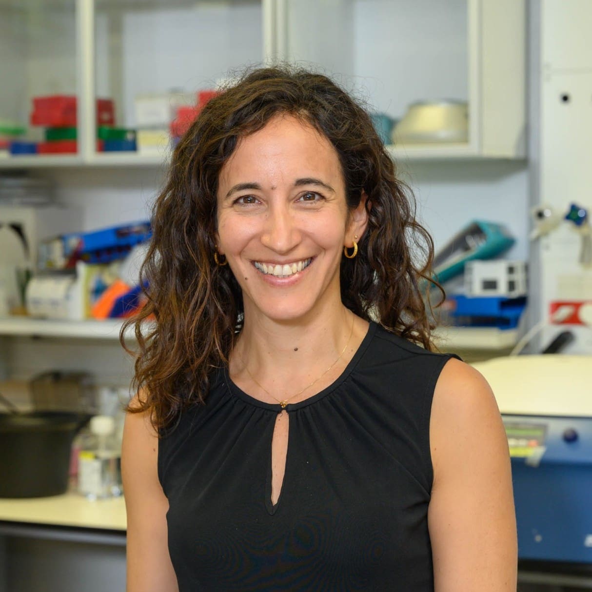 Ruth Scherz-Shouval PhD